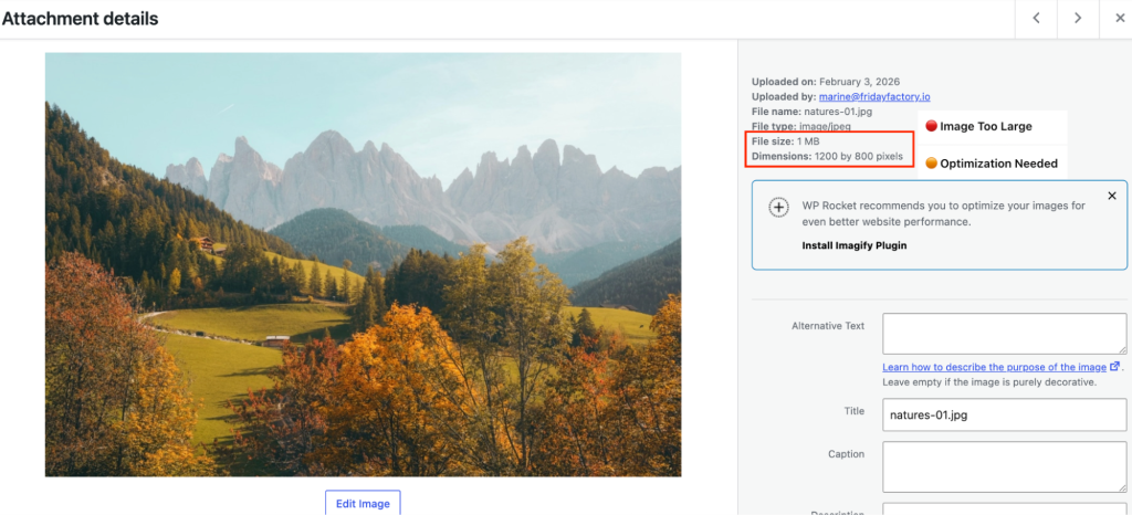 How to find oversized image on WordPress