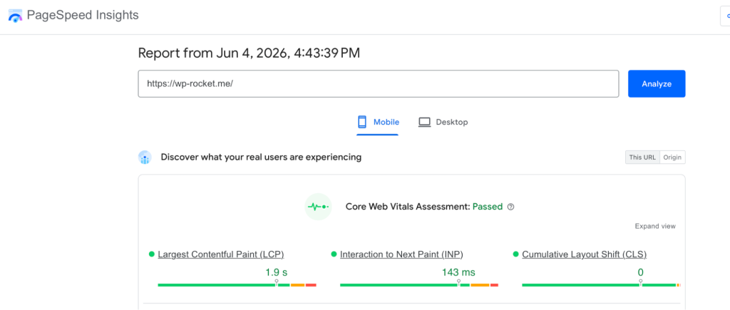 Performance report – Source: Google PageSpeed Insights (PSI)