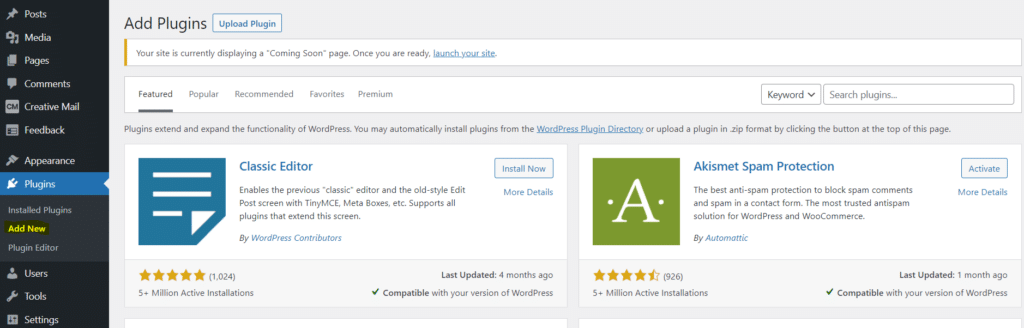 The Plugins dashboard in WordPress