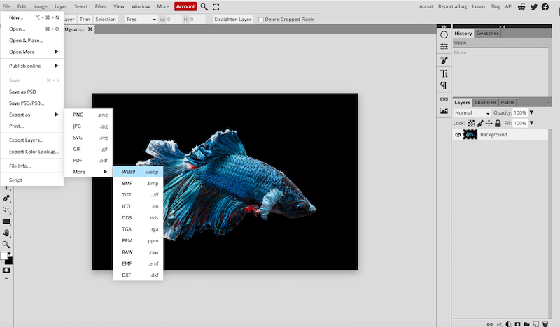 Converting to WebP with Photopea - Source: Photopea