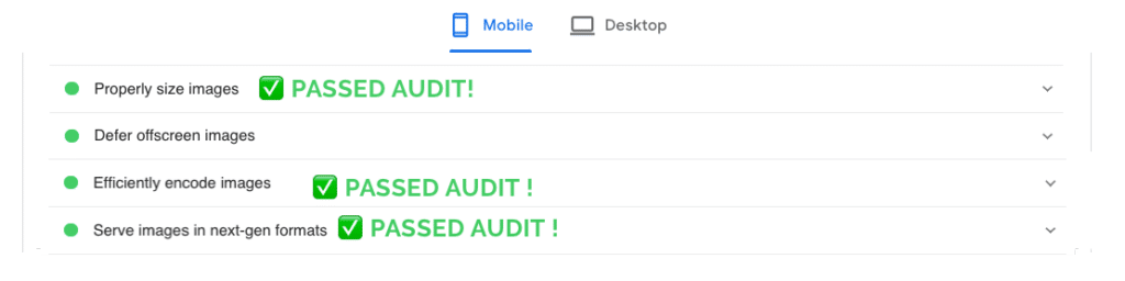 My website passed the audit with Imagify