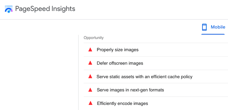 Images-related issues - Source: Google PageSpeed Insights