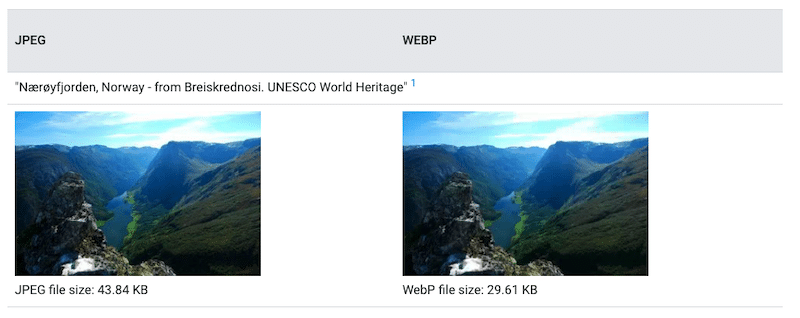 Converting an image to WebP to save up to 25%  - Source: Google Developers