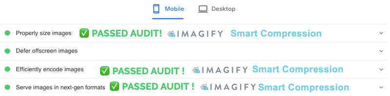 Audit passed with Imagify - Source: PageSpeed Insights