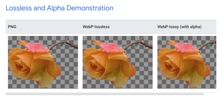 12 Best Practices for Your Product Images - Imagify