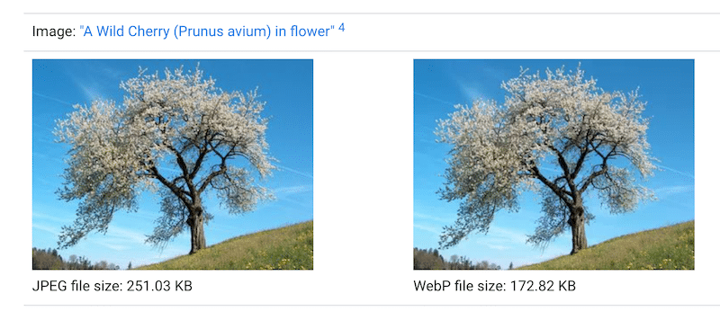 A WebP file is lighter than a JPEG one with the same quality - Source: Google WebP developers