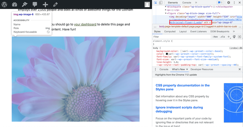 Checking if WebP works on the front end - Source: Imagify