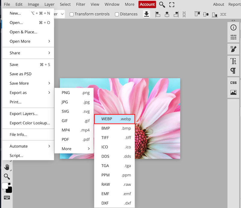 Saving images in WebP - Source: Photopea design software