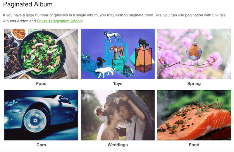Example of the paginated album using tags and categories with Envira - Source: Envira Gallery