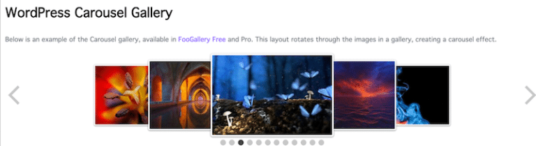 4 Best Gallery Plugins For WordPress (With Performance Tests) - Imagify