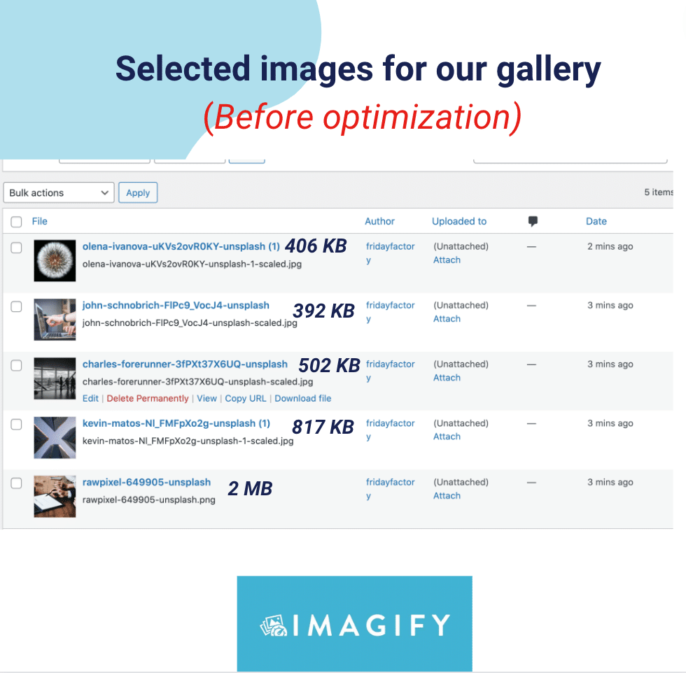 Unoptimized images that were chosen for the gallery -  Source: Imagify