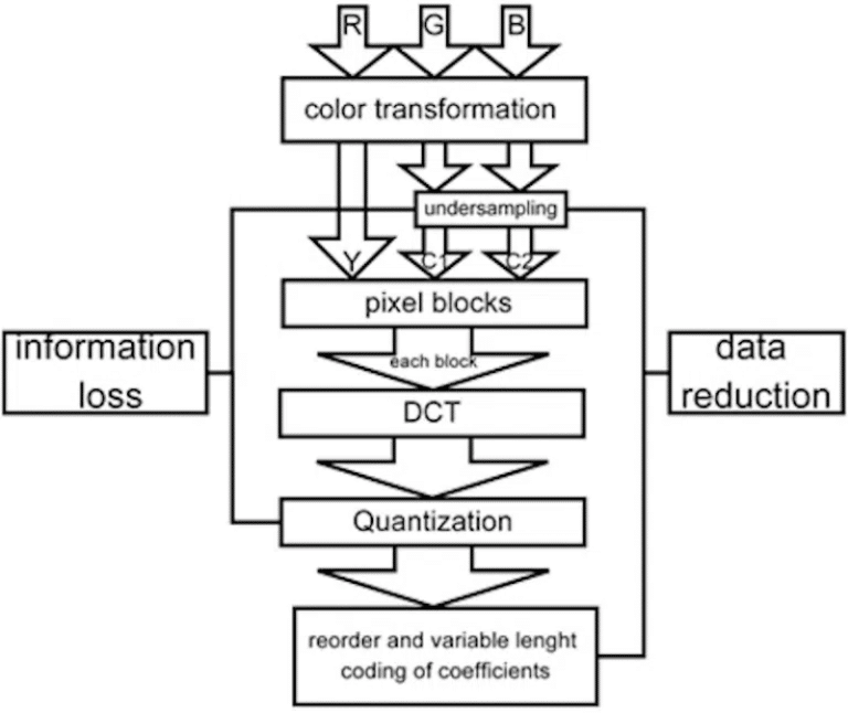 Lossy vs Lossless Image Compression: What’s the Difference?