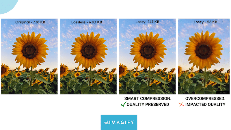 Lossless vs lossy compression - Source: Imagify