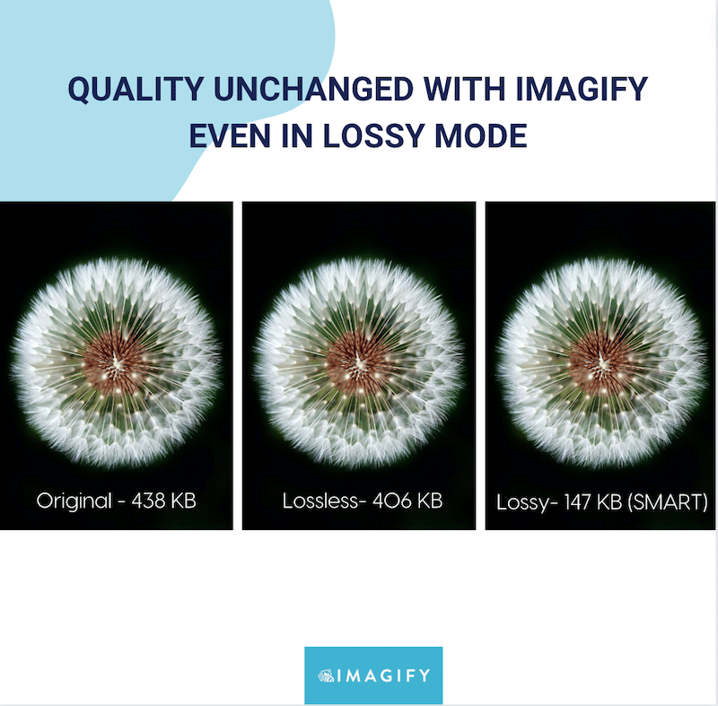 Quality unchanged - lossless vs lossy - Source: Imagify