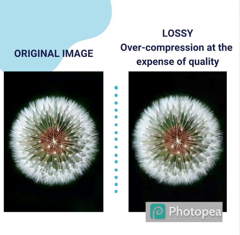 Lossy vs Lossless Image Compression: What’s the Difference?