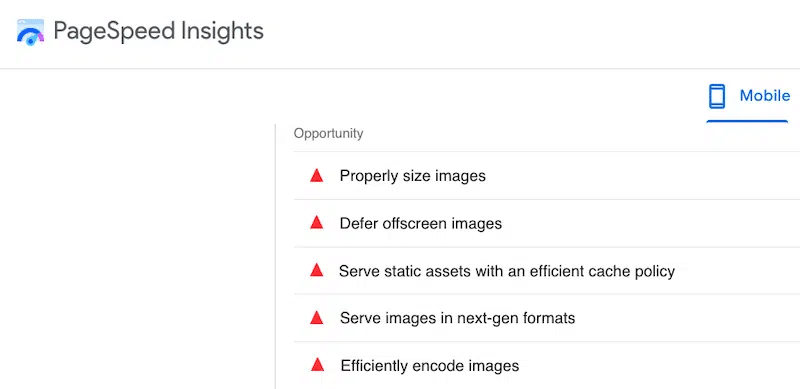 Images-related issues flagged by Lighthouse report - Source: PageSpeed Insights