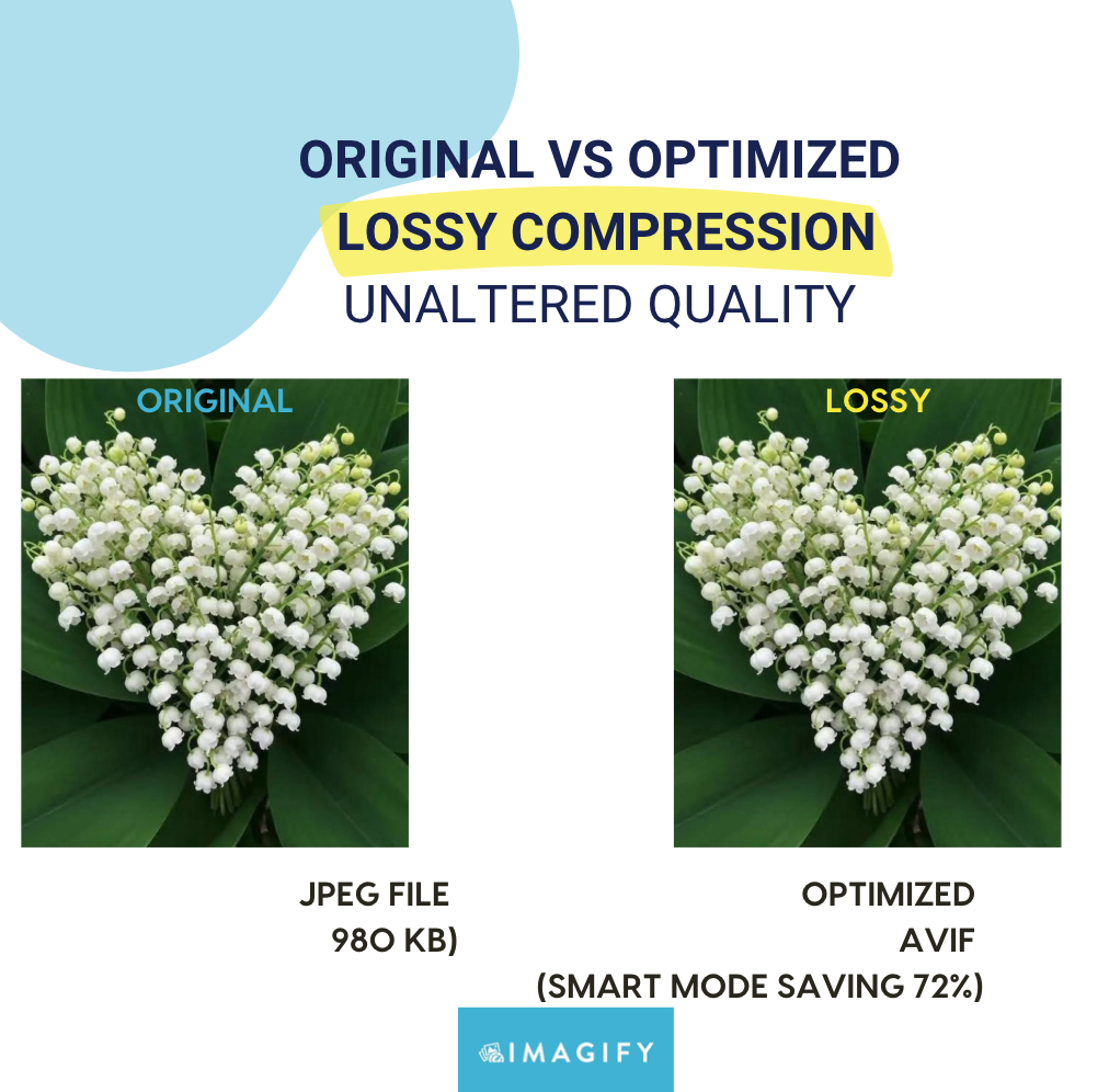 Optimized images with Imagify: compression, AVIF conversion and quality not impacted - Source: Imagify