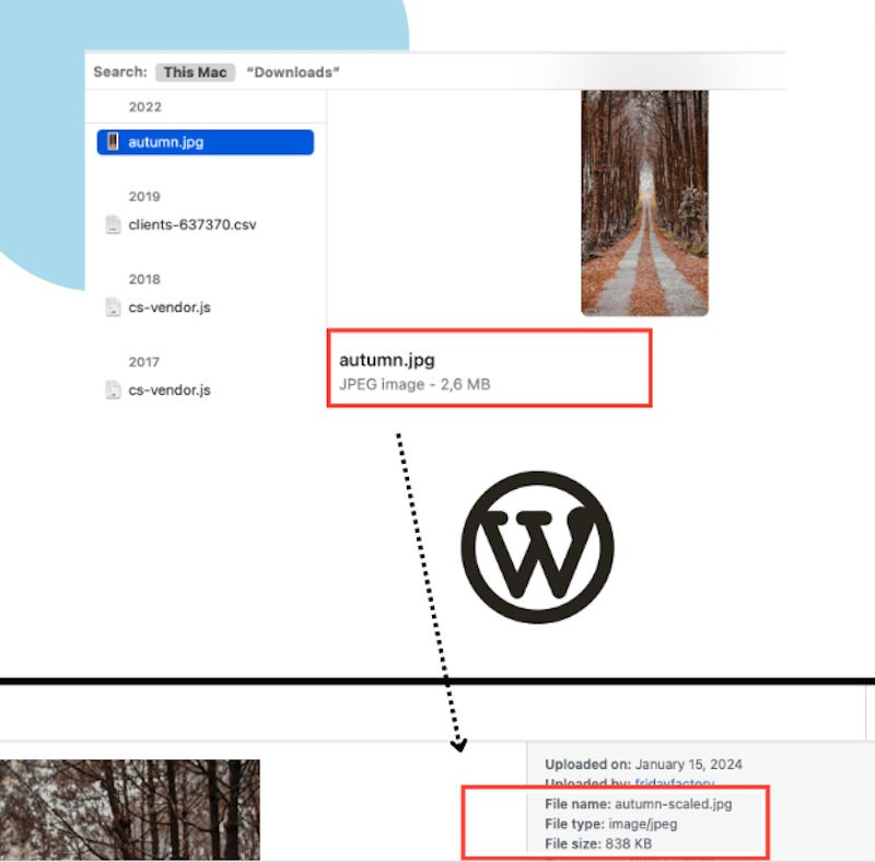 WordPress compression on images - Source: The WP Library
