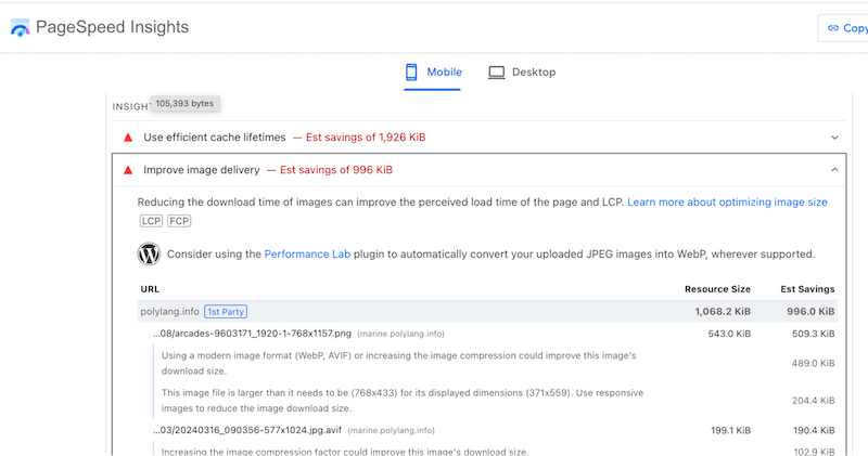 Example of insights (similar to diagnostics) by Google PSI - Source: Google PSI