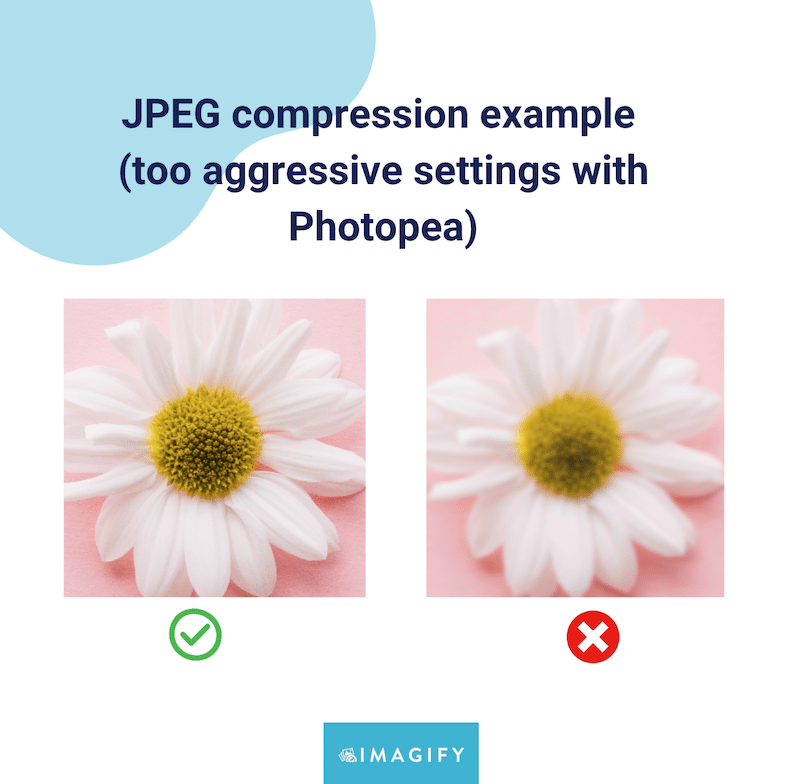 Overly compressed image with Photopea - Source: Imagify